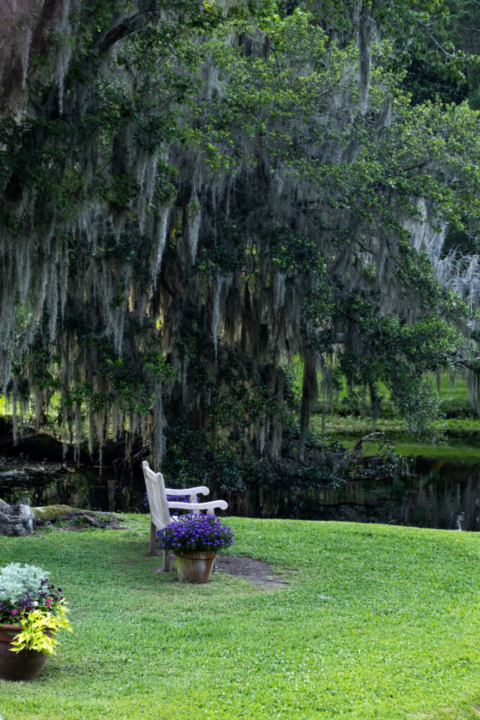 A scenic view of a rustic bench and flower garden at Middleton Place SC 