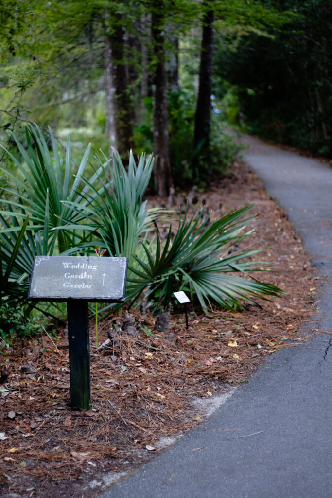 A winding walking path at Cypress Gardens South Carolina
