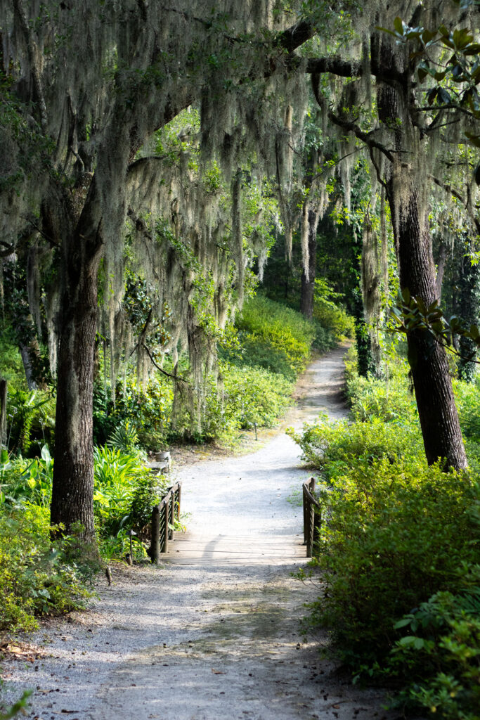 A winding footpath through a beautiful garden at Mepkin Abbey Botanical Garden.